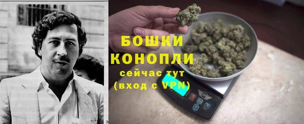 дурь Горняк