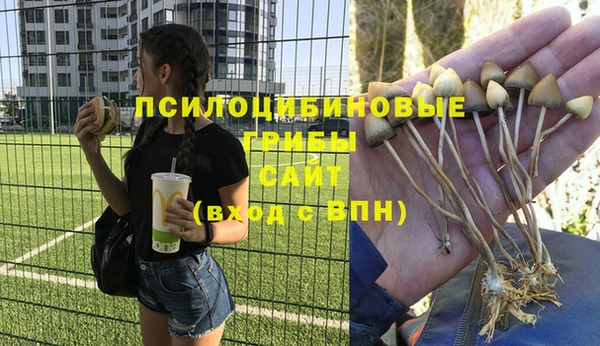 дурь Горняк