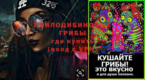 дурь Горняк