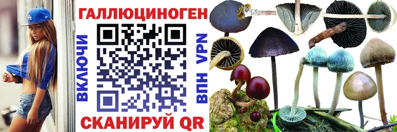 МЕГА ONION  Горняк  Галлюциногенные грибы ЛСД  сколько стоит 